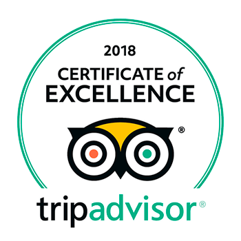 best excursion of tripadvisor